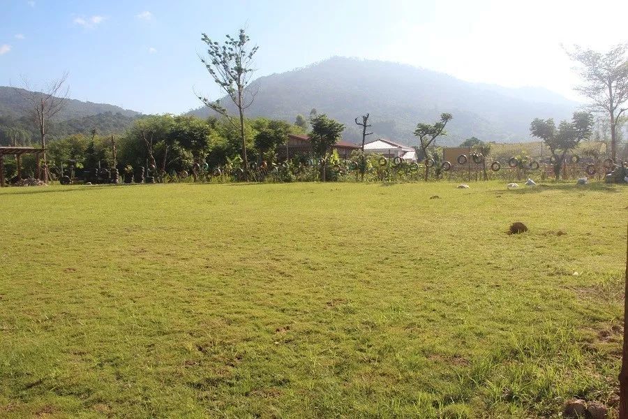 海沧金农湾 - 厦门市逸野企业管理咨询有限公司