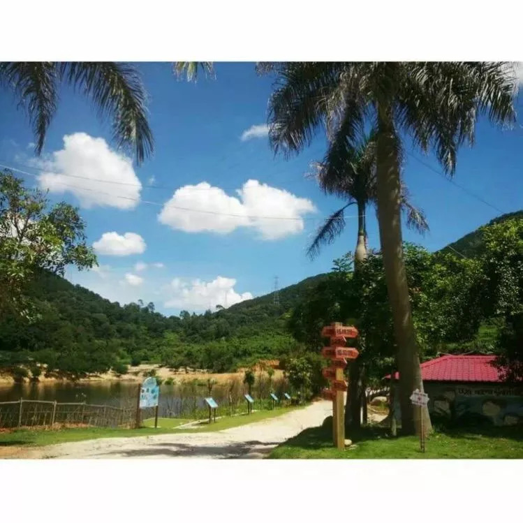 海沧雷公山 - 厦门市逸野企业管理咨询有限公司